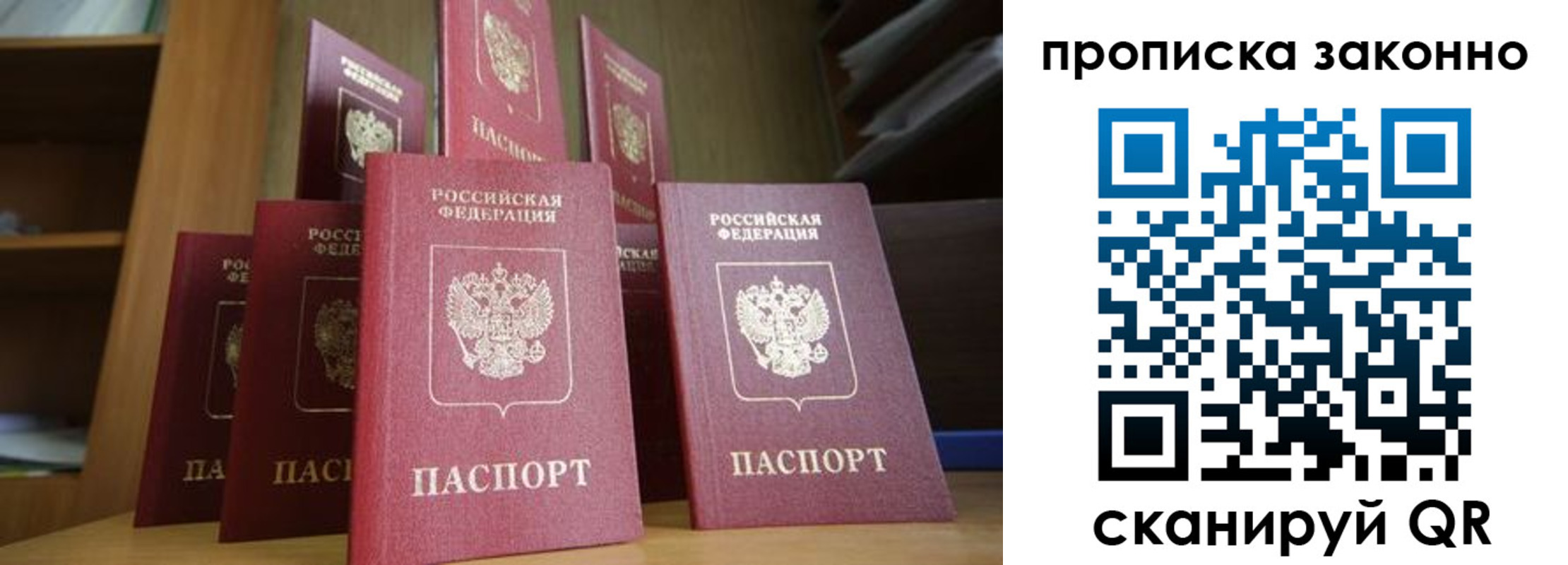 прописка в квартире в Бабаево